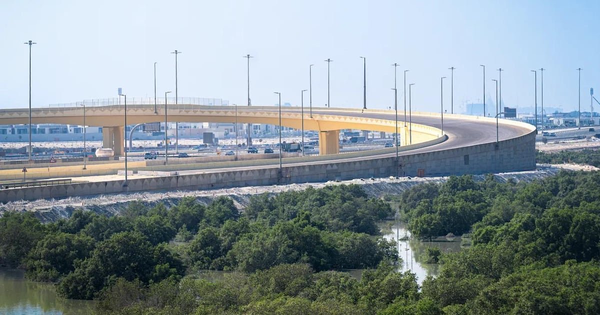 A curved road bridge above mangroves in Abu Dhabi