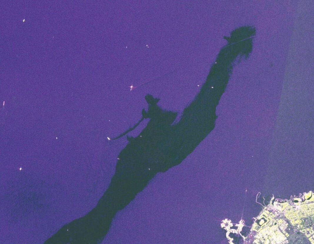 Satellite radar image showing a dark oil slick in the sea off the coast of Umm Al Quwain